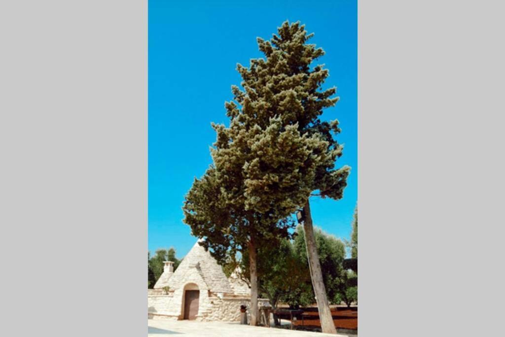 Trulli Monteforte Villa Castelli Екстер'єр фото